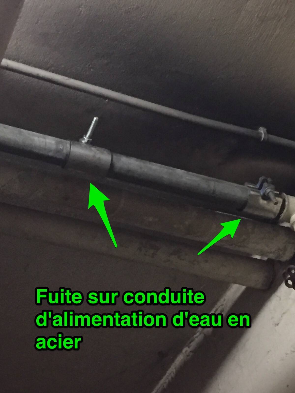 Faire rénover sa maison avec travaux de carrelage et peinture inclus Strasbourg en Alsace